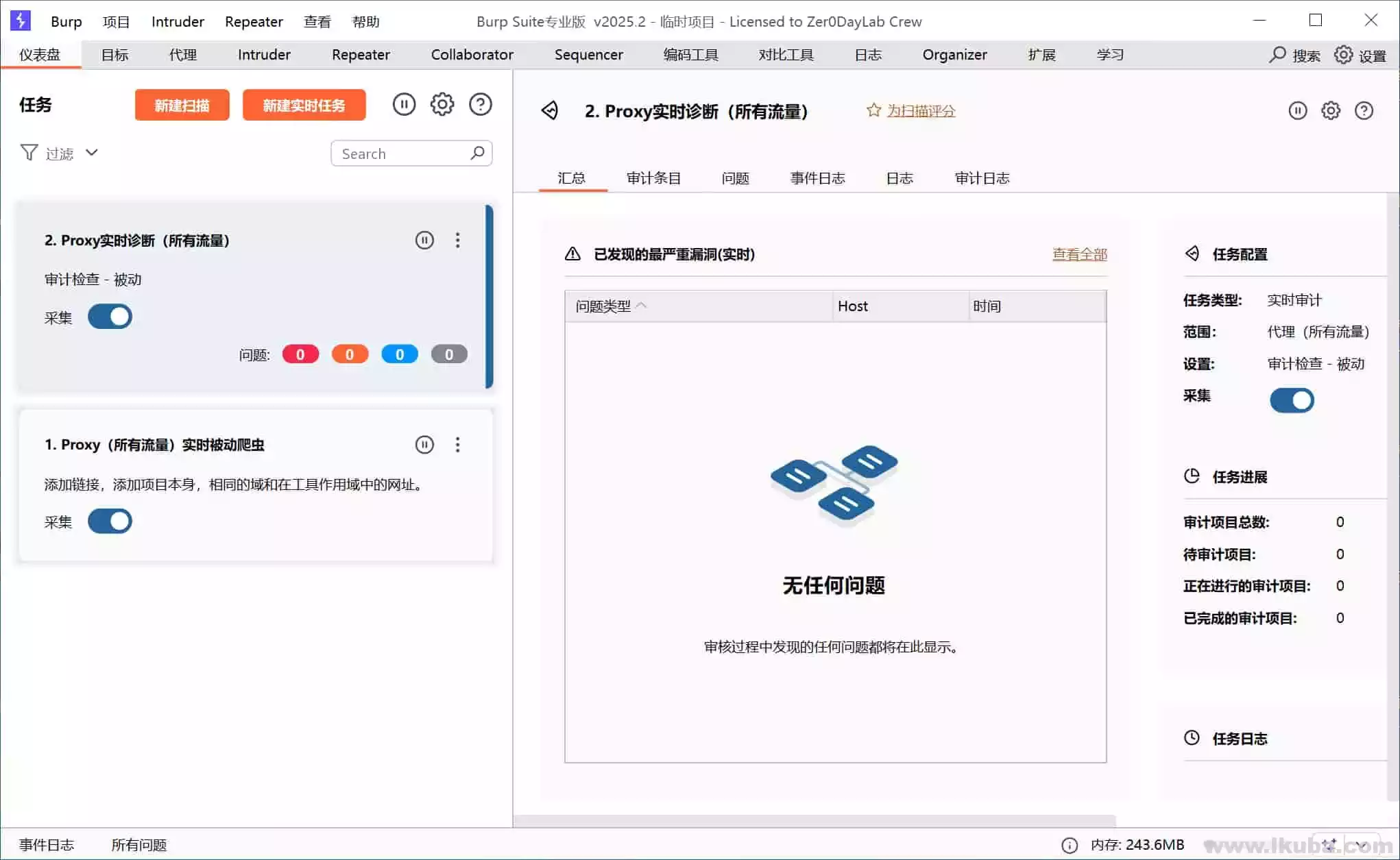 网络安全渗透测试工具包 Burp Suite Professional v2025.7 汉化激活版