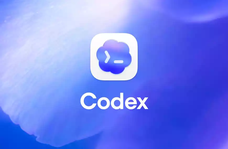 OpenAI Codex 从入门到实战：终极使用指南