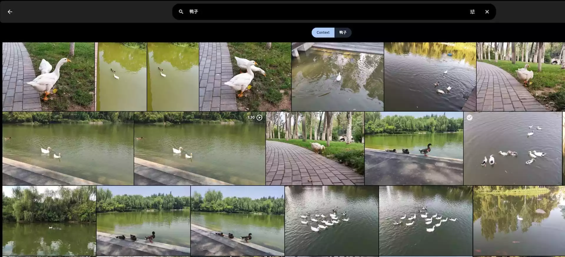 WechatIMG9029_Y9m36O